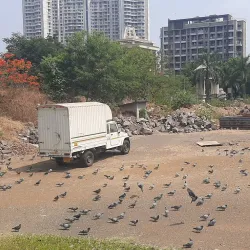 Kalyan Jain Temple - Kalyan