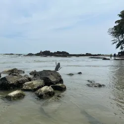 Muzhappilangad Drive-in Beach - Kannur