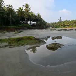 Muzhappilangad Drive-in Beach - Kannur