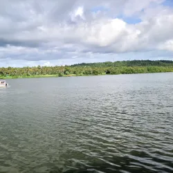 Parassinikadavu Muthappan Temple - Kannur