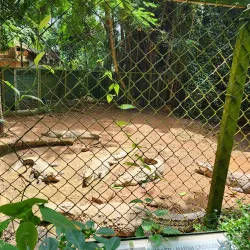 Parassinikkadavu Snake Park - Kannur