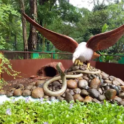 Parassinikkadavu Snake Park - Kannur
