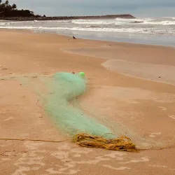 Payyambalam Beach - Kannur