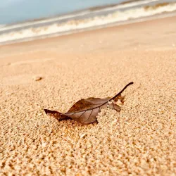 Payyambalam Beach - Kannur