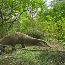 Allen Forest Zoo - Kanpur