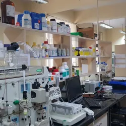 Kanpur Science Centre - Kanpur