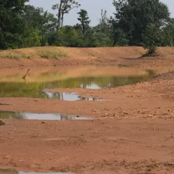 Peddapalli Wildlife Sanctuary - Karimnagar