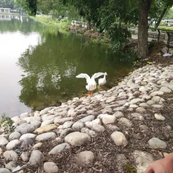 Karna Lake Park - Karnal