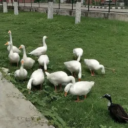Karnal Lake - Karnal