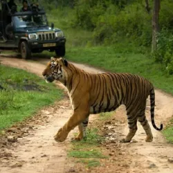 Bandipur National Park - Karnataka