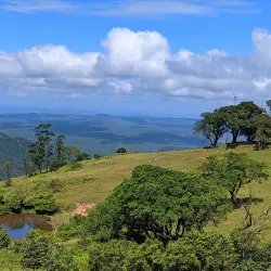 Bandipur National Park - Karnataka