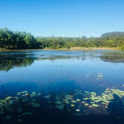 Chikmagalur - Karnataka