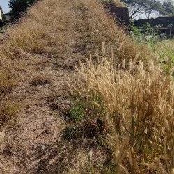 Hosdurg Fort - Kasaragod