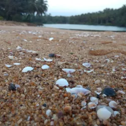 Kappil Beach - Kasaragod