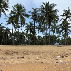 Kappil Beach - Kasaragod