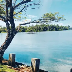 Kasaragod Backwaters - Kasaragod