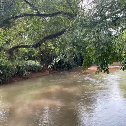 Madhur Temple - Kasaragod