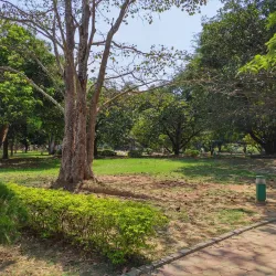 Kharagpur Central Park - Kharagpur