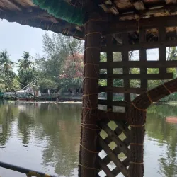 Backwaters of Kochi - Kochi