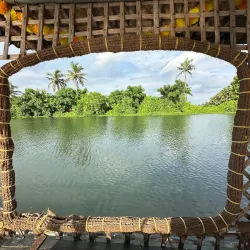 Backwaters of Kochi - Kochi