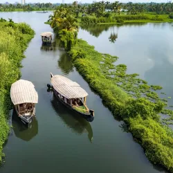 Backwaters of Kochi - Kochi
