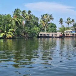 Backwaters of Kochi - Kochi