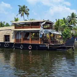 Backwaters of Kochi - Kochi