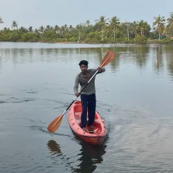 Backwaters of Kochi - Kochi