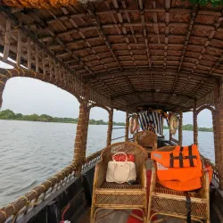 Backwaters of Kochi - Kochi