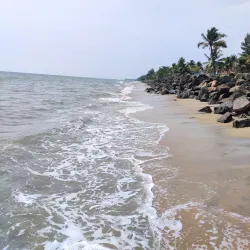 Cherai Beach - Kochi