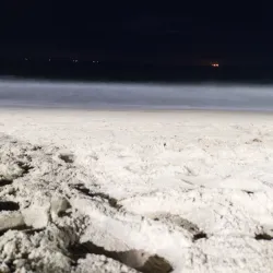 Cherai Beach - Kochi