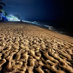 Cherai Beach - Kochi