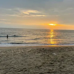 Cherai Beach - Kochi