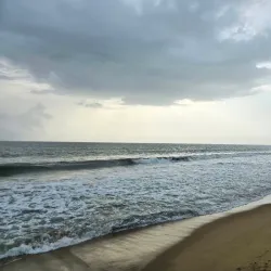 Cherai Beach - Kochi