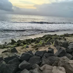 Cherai Beach - Kochi