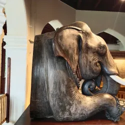 Hill Palace Museum - Kochi