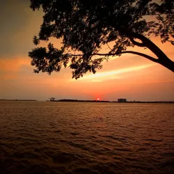 Kochi International Marina - Kochi