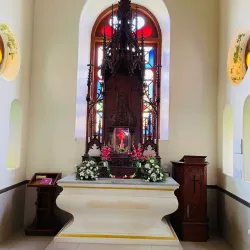 Santa Cruz Basilica - Kochi