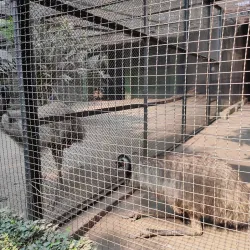 Alipore Zoological Gardens - Kolkata