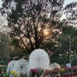 Birla Planetarium - Kolkata