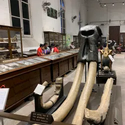 Indian Museum - Kolkata