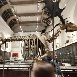 Indian Museum - Kolkata