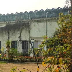 Marble Palace - Kolkata