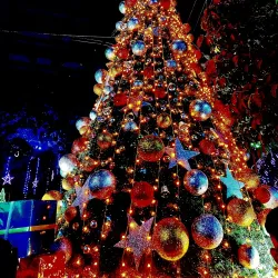 Park Street - Kolkata