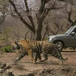 Kota Wildlife Sanctuary - Kota