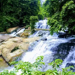 Aruvikkuzhi Waterfalls - Kottayam