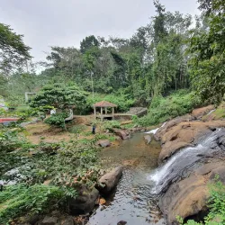 Aruvikkuzhi Waterfalls - Kottayam