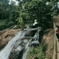 Aruvikkuzhi Waterfalls - Kottayam