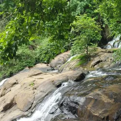 Aruvikkuzhi Waterfalls - Kottayam