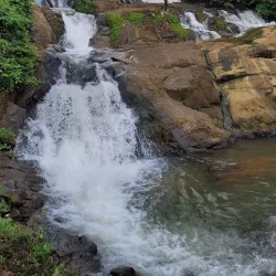 Aruvikkuzhi Waterfalls - Kottayam
